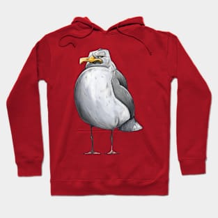 Herring Gull Hoodie